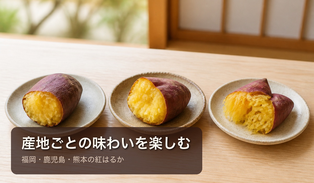 三皿に分けた焼き芋の食べ比べイメージ